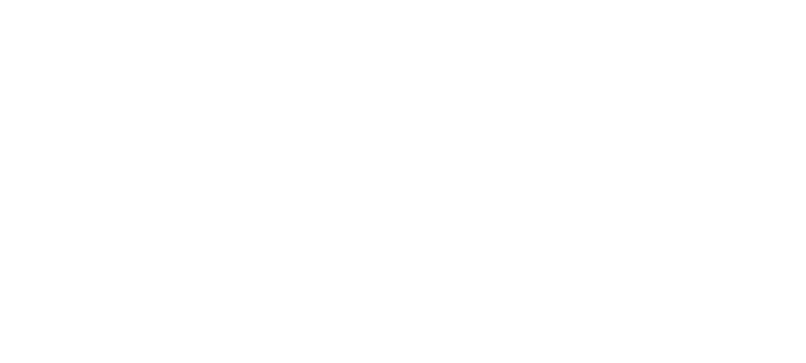 Solve Pest Pros